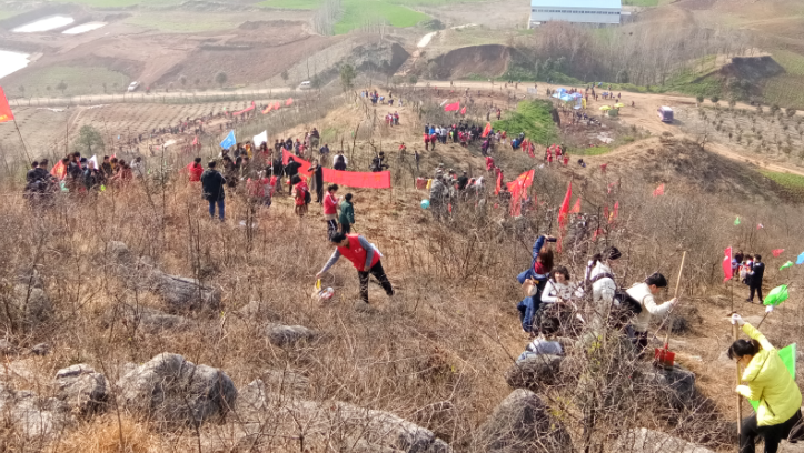 我?！扒啻褐?，綠滿襄陽(yáng)”植樹(shù)活動(dòng)(圖2)